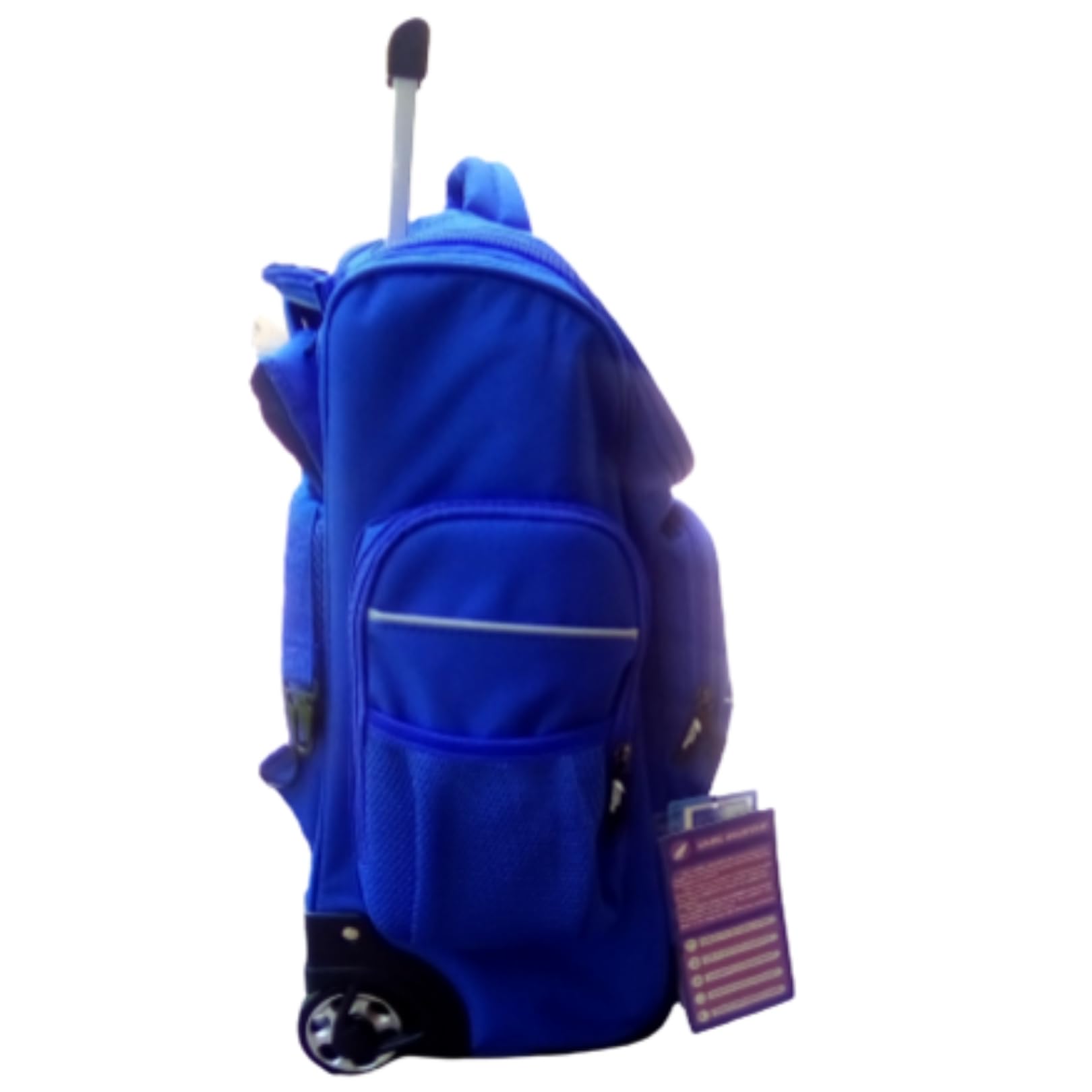 Camel Mountain School Trolley Bag - 19